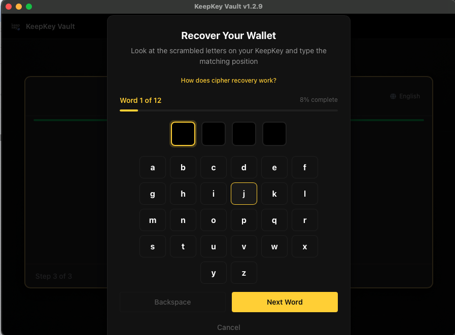 Cipher recovery instruction screen
